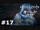 【DLC】Horizon Zero Dawn【凍てついた大地】＃１７