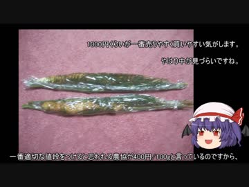 ゆっくり農民70ヤマイモを育ててみませんか？#4