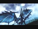 SH突入応援：ヴォルドラゴン＆クォーツドラゴン