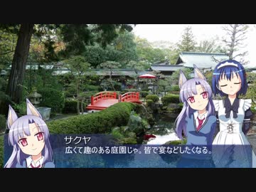 【そくドラ！外縁隊】 神様が往く！１７年１１月その２【大井】