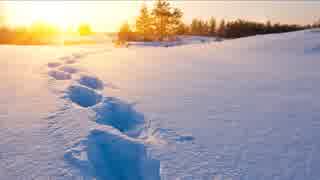 雪を踏み続ける音（効果音、自然音、睡眠用・作業用BGM）