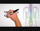 Three causes of long term Back Pain and how to reduce it