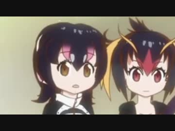 フンボルトペンギンマン