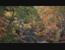 【疑似m@s】赤目？