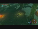 自由すぎるリンクの冒険【プレイ動画その２２７】