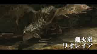 【MHXX】ソフィアのゆっくり狩猟日記　村下位編【第１６話】