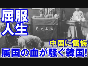 【中国のお仕置きに屈服した韓国】 犬のしつけのようなアプローチ！