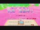 スーパーマリオオデッセイ　初見鬼畜縛り実況 part23