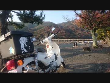【車載】京都嵐山　カブで紅葉狩り（竹林の道）