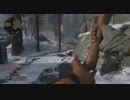 クソエイムの極み【CoD:WWⅡ】