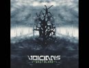 洋楽を高音質で聴いてみよう【1151】Voicians 『Wolves』