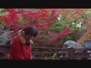 【秋雨】橙ゲノム【踊ってみた】