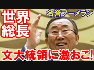 【韓国の潘基文前国連事務総長が激おこ】 日本との差は100倍ニダ！