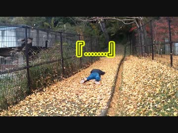 【R-3と行くまったりツーリング】①～友人Mと行く紅葉巡りツアー