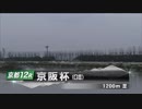 2017年　第62回 京阪杯（GⅢ）【ネロ】