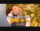 【歌ってみた】カーナビでカラオケ】闇の中へ/Metaleaman(夢の中へ/井上陽水