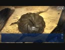 Fate/Grand Orderを実況プレイ 英霊剣豪七番勝負編 part47