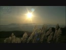 夕日に輝くススキ　#グローバルライフ株式会社