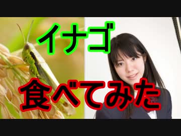 【蝗】いなごを食べてみた【イナゴ】
