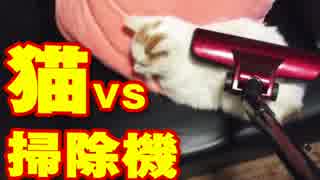 猫vs掃除機！あの猫のように掃除機を舐めるのか!?