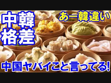 【中国ヤバイこと言ってるぞ】 中国は韓国とは違うアル！