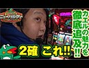 ワサビのニューパルサーが100倍楽しくなる動画【ニューパルサーSPII】