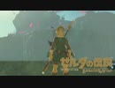【実況】方向音痴が駆ける【ゼルダの伝説ブレスオブザワイルド】59