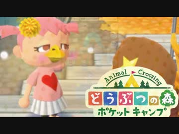 どうぶつの森ポケットキャンプの楽しみ方。実況8　お宅訪問スペシャル編