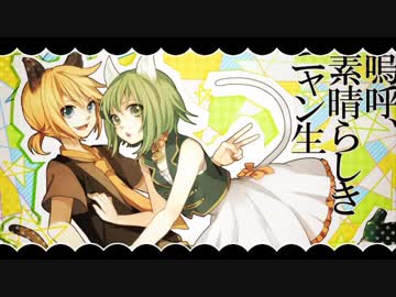 嗚呼、素晴らしきニャン生　歌ってみました【佳夏】