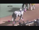 2017年11月27日大井競馬11R メルセデス・ベンツ盃(B1-二・B2-一) 表彰式