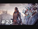 【DLC】Horizon Zero Dawn【凍てついた大地】＃２３