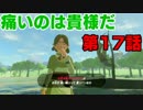 【実況】このゲームがしたくてswitch買ったようなもん【ゼルダ】17