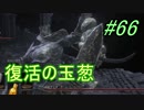 【ダークソウル３】玉葱を継ぐ者＃66【４人実況】