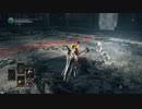 【ダークソウル３】 マルチde周回カンスト双王子戦（SL1,武器未強化）