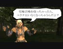 【FF11フラッシュ】MUSCLE FANTASY X