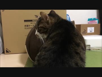 【こげつく】こげＶＳおにぎり