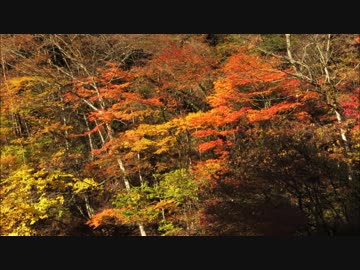 錦秋の山伏