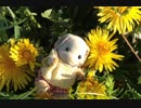 【実況】妖精のステッキとふしぎの木 16日目