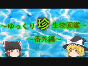 ～ゆっくり　珍　生物図鑑～　番外編21