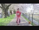 Anime Music & Kimono Dance by Yao Ren Mao =咬人猫=