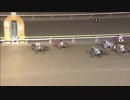 2017年11月29日大井競馬12R リゲル賞(B2-四・B3-四) ボナテスタ