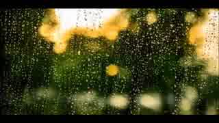 雨の音とカエルの鳴き声（作業用BGM・睡眠用BGM）