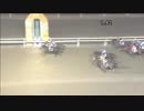 2017年12月1日大井競馬12R Ｂｙ ｙｏｕｒｓｉｄｅ Ｓｈｉｎａｇａｗａ賞