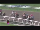 2017年　第18回 チャンピオンズカップ（GⅠ）【参考レース】(音質向上版)