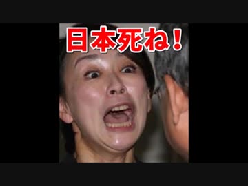 日本死ね大賞の『フェイクニュース』解説がフェイクだとバレるｗｗｗ