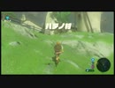 #011【ゼルダの伝説 BotW】初見プレイでマスターモード　ゆっくり実況