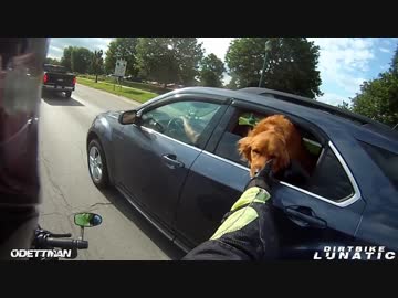 世界のバイク乗り 9