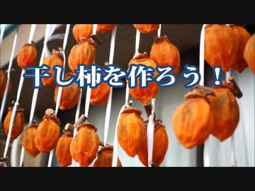 【極上の保存食】干し柿を作ろう！
