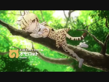 オセロットマン