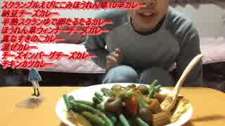 エブリデイcoco壱part18-チーズチキンカツ野菜カレーと二週間まとめ-